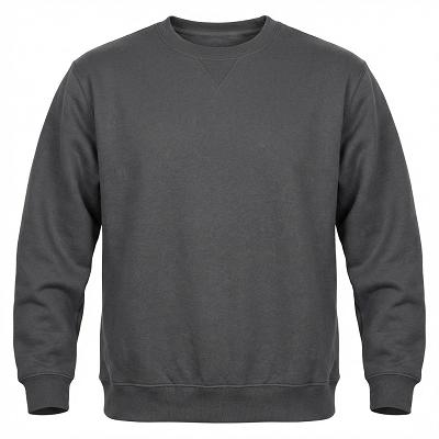 Crewneck Sweatshirt — Screen Print