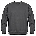 Crewneck Sweatshirt — Screen Print