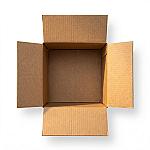 Custom Folding Carton — Retail Ready