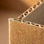 Custom Folding Carton — Retail Ready