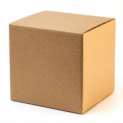 Branded Corrugated Shipping Box