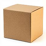 Branded Corrugated Shipping Box