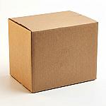 Heavy-Duty Double-Wall Shipping Box