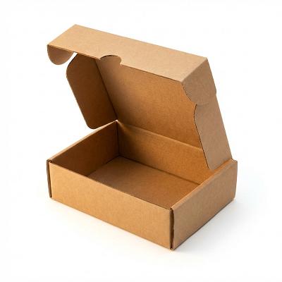 Mini Mailer Box — Small Items