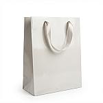 Glossy Gift Bag with Ribbon Handles