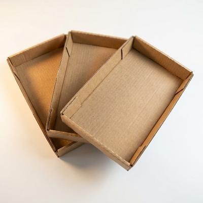 Custom Cardboard Insert Tray