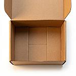 Custom E-Commerce Mailer Box
