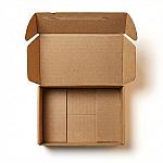 Subscription Box Mailer — Monthly Kit