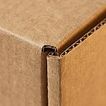 Subscription Box Mailer — Monthly Kit