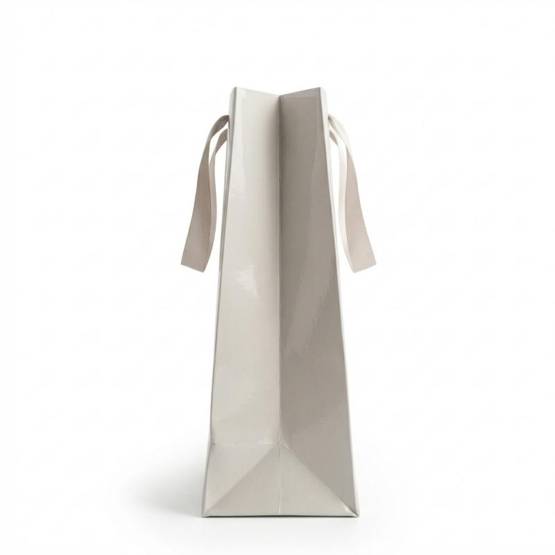 Glossy Gift Bag with Ribbon Handles