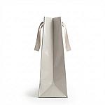 Glossy Gift Bag with Ribbon Handles