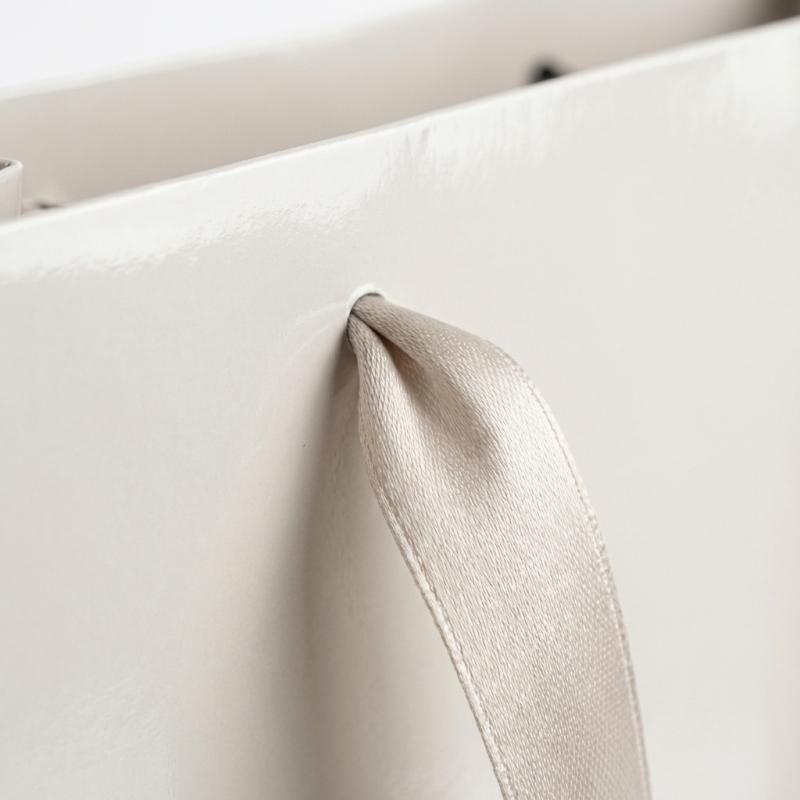 Glossy Gift Bag with Ribbon Handles