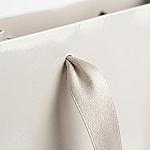 Glossy Gift Bag with Ribbon Handles