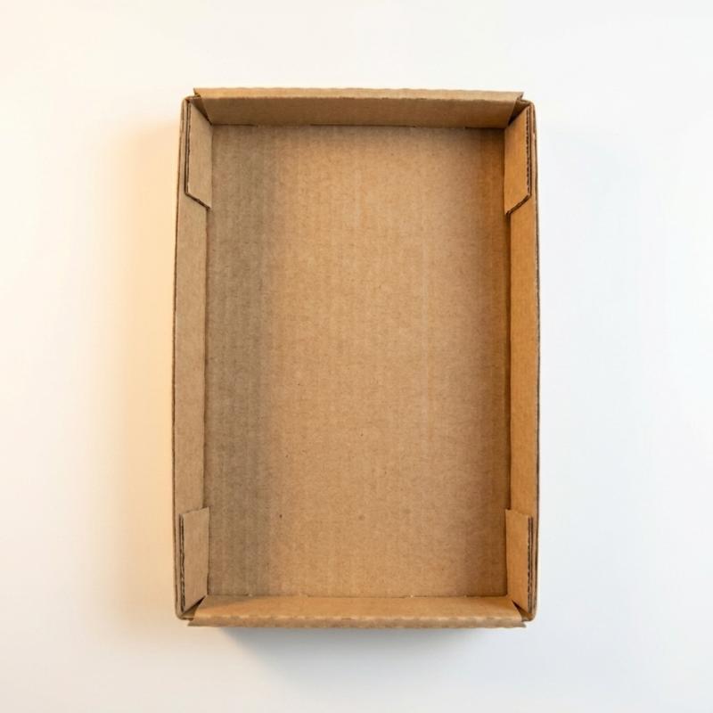 Custom Cardboard Insert Tray
