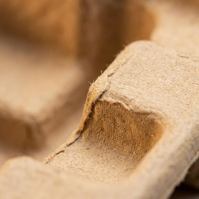 Molded Pulp Packaging Insert