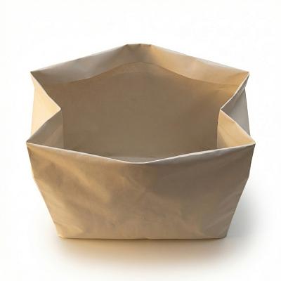 Custom Poly Mailer Bag — alternate view