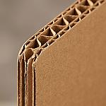 End-Cap Display with Header Card