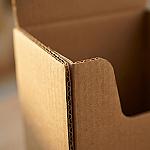 Literature Holder Stand — Tri-Fold