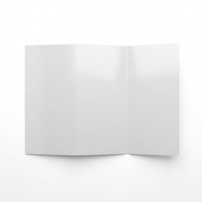 Full-Color Tri-Fold Brochure — alternate view