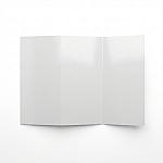 Full-Color Tri-Fold Brochure