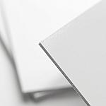 Event Flyer — Full Color