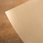 Window Decals — Removable